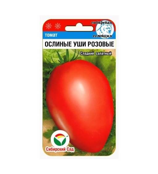 Томат Ослиные Уши Характеристика И Отзывы Фото