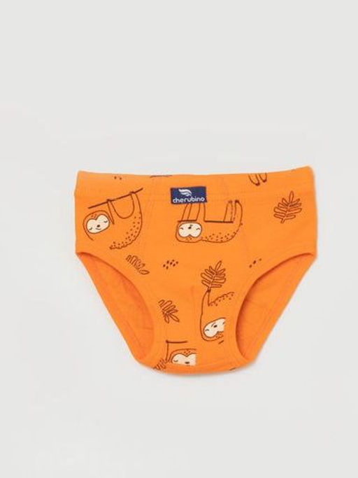 CRB wear/CWKB 10063-29 Трусы для мальчика, оранжевый/Ex.Cherubino  фото 2