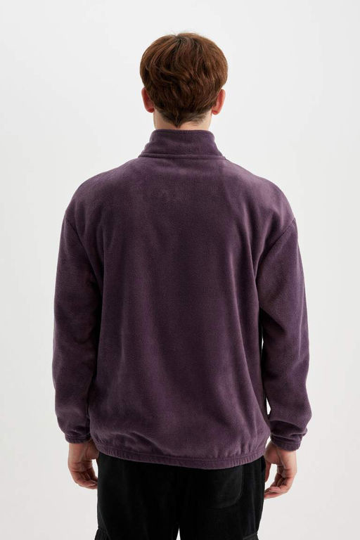 Флисовый свитшот с принтом и воротником-стойкой Comfort Regular Fit - Defacto фото 6