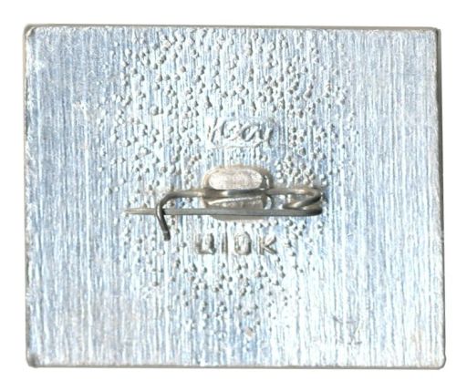 Значок Плёс