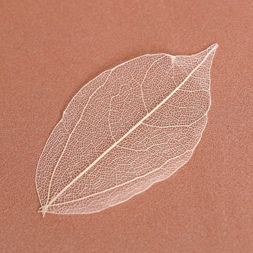 Цена за 2 шт. Сухие листья, набор 5 шт., размер 1 шт. — 8×5 см, белые