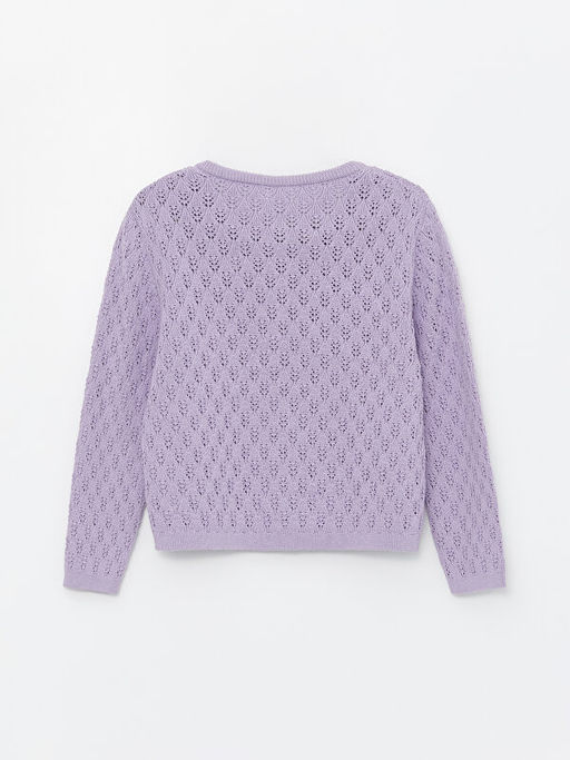 Bisiklet Yaka K?z Bebek Triko H?rka - Waikiki фото 3