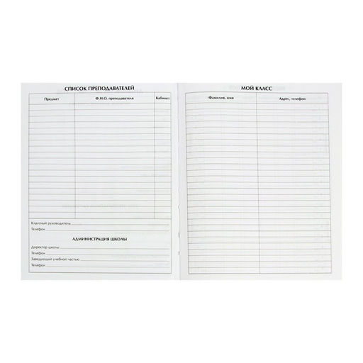 Дневник школьный для 1-11 классов, «Девочка со скейтом», твёрдая обложка 7БЦ, глянцевая ламинация, 40 листов