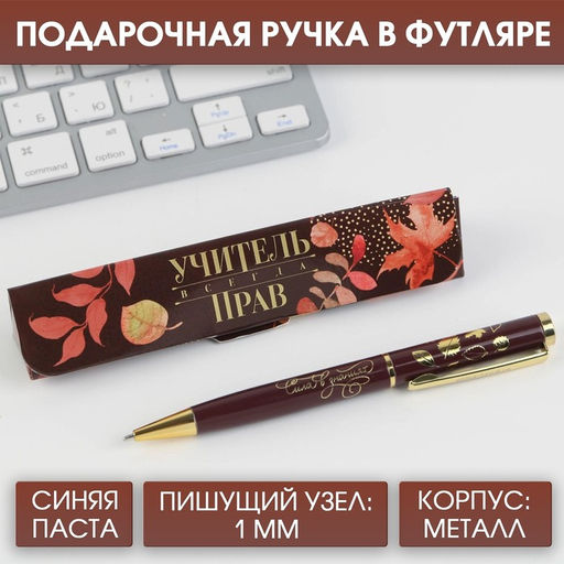 Ручка шариковая в подарочном футляре, металл, синяя паста, 1.0 мм Учитель всегда прав!