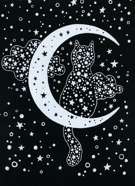 Hobbius GHPB-06 Набор для творчества Гравюра-блокнот 14 x 20 см Космический кот  фото 9