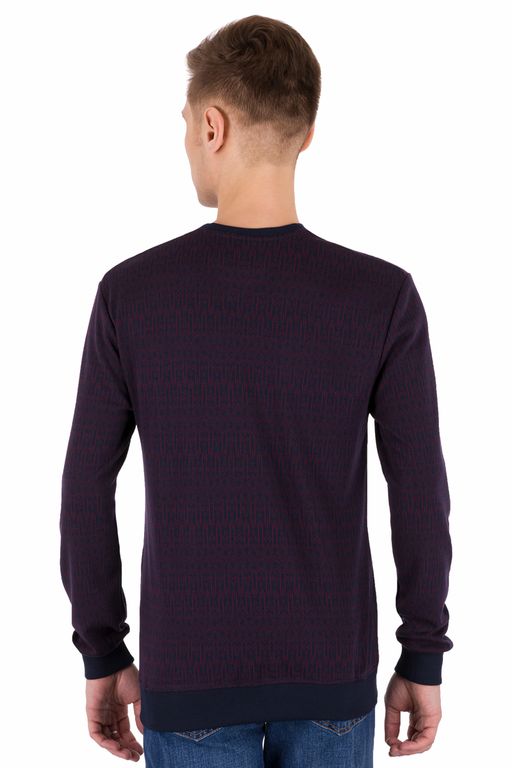 толстовка 
 2.01-30-49-01 - Tliton фото 2