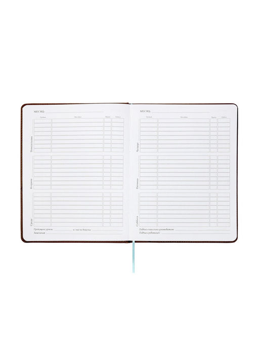 Дневник школьный 1-11 класс, лассе, обложка искуственная кожа коричневая, Рыцарь