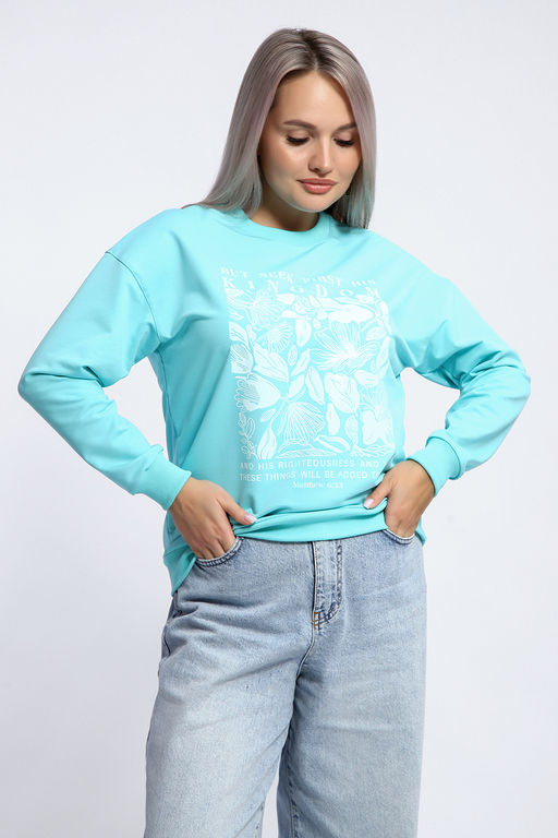 Толстовка 80047