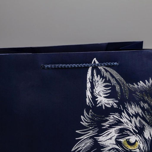 Пакет ламинированный вертикальный Сильному духом, ML 23 27 11,5 см - Дарите счастье фото 4