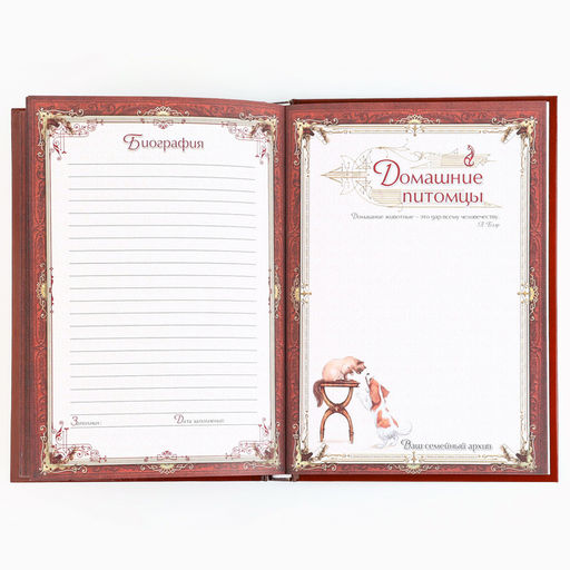 Родословная книга новогодняя «Дед Мороз» 17×2×23.7 см