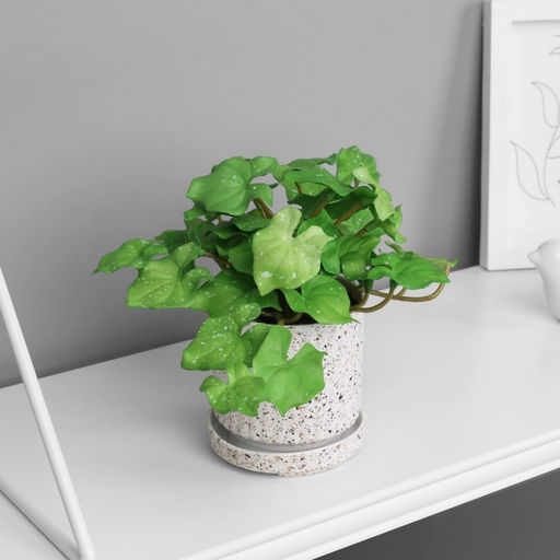 Искусственный цветок в горшке Филодендрон селло ультра (мягкий лист), 15?7 см, МИКС