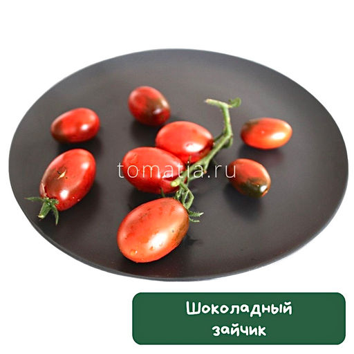 Шоколадный зайчик