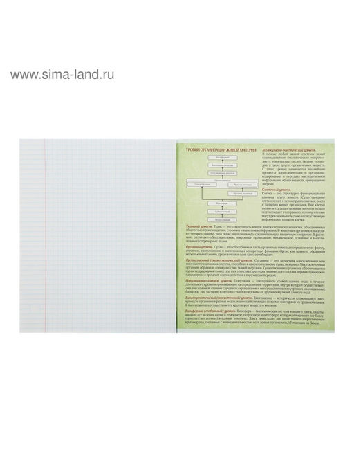 Тетрадь предметная Неон, 48 листов в клетку Биология, со справочным материалом, обложка мелованный картон, УФ-лак, блок офсет - Calligrata фото 8