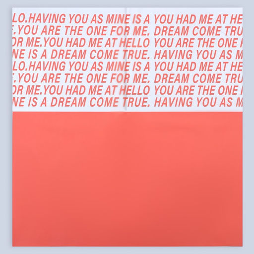 Цена за 20 шт. Пленка для цветов матовая, Письмо прозрачное, 58х58см, морковный - UPAK LAND фото 3