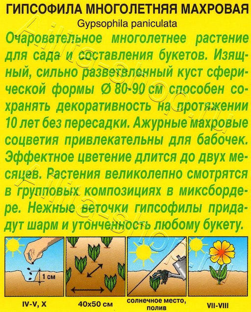 Гипсофила Махровая многолетняя 0,05г (Аэлита)