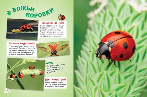 Самые милые животные. Большая энциклопедия для маленьких