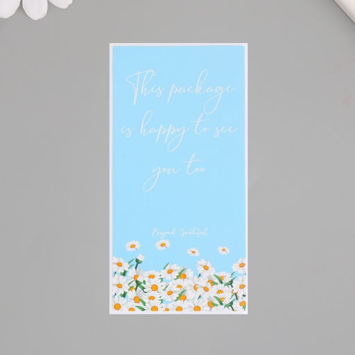 Наклейка - открытка бумага Спасибо. Ромашки и небо, набор 50 шт., 10?5 см