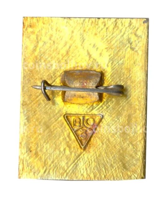 Значок Владимир