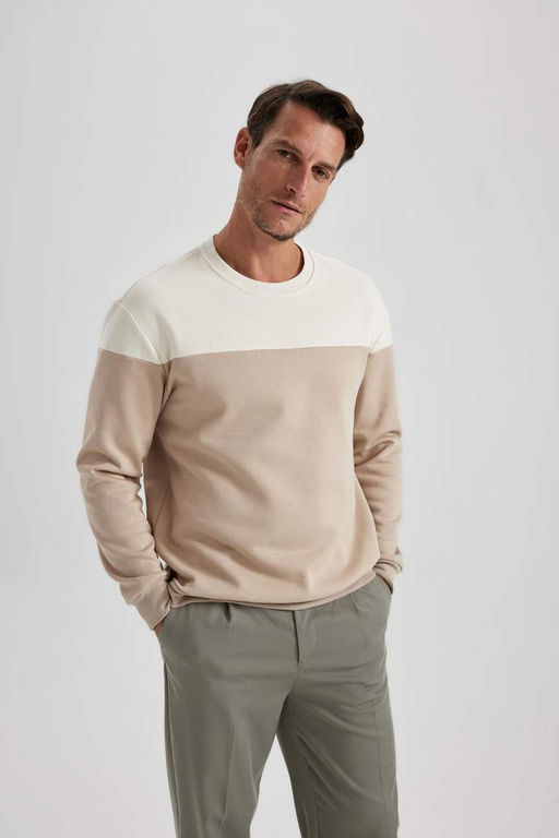 Толстовка с цветными блоками Comfort Fit с круглым вырезом - Defacto фото 6