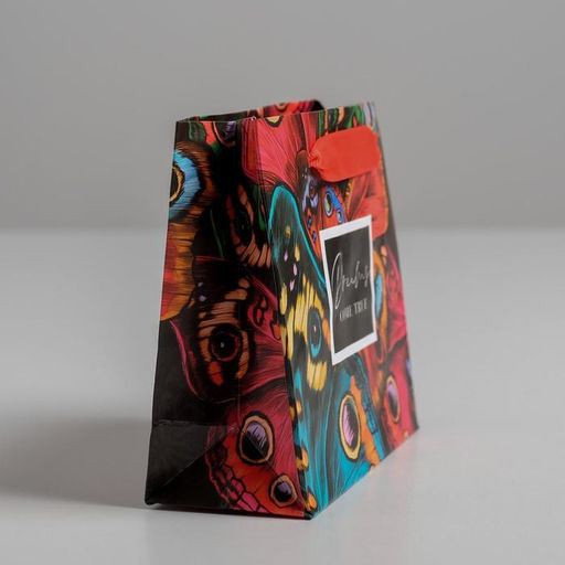 Цена за 2 шт. Пакет подарочный ламинированный, упаковка, «Dreams come true», S 15 х 12 х 5.5 см