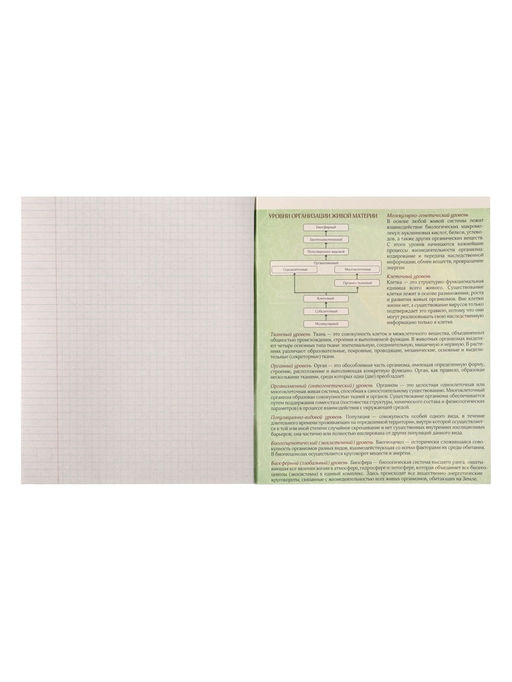 Тетрадь предметная 3D, 48 листов в клетку Биология со справочным материалом, обложка мелованный картон, блок №2, белизна 75% (серые листы) - Calligrata фото 8