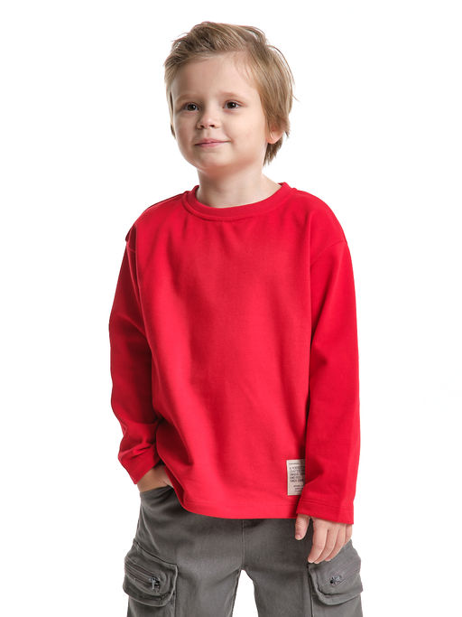 Толстовка для мальчика с шевроном 22-1124 темно-серый меланж - Mini maxi фото 14