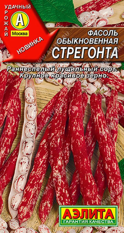 Фасоль обыкновенная Стрегонта