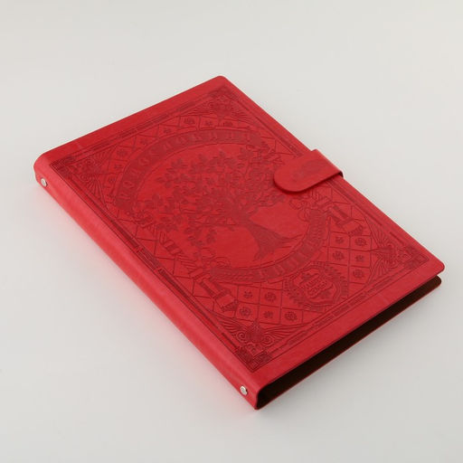 Родословная книга "Книга нашей семьи", красн., 31 х 22 см
