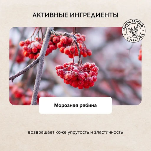 АНА-пилинг для лица Beauty сияние, 100 мл / Doctor Taiga / Natura Siberica  фото 4