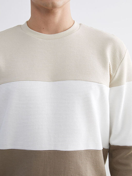 Bisiklet Yaka Renk Bloklu Erkek Sweatshirt