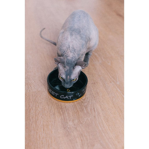 Миска керамическая Черный кот 300 мл 12,5 х 4,5 см, черно-оранжевая - Пижон фото 7