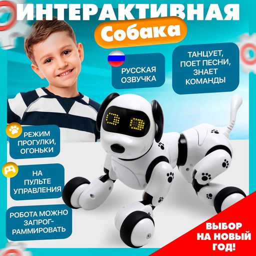 Робот собака Пультовод ZHORYA, программируемый, на пульте управления, интерактивный: свет, звук, танцующий, музыкальный, на аккумуляторе, на русском языке