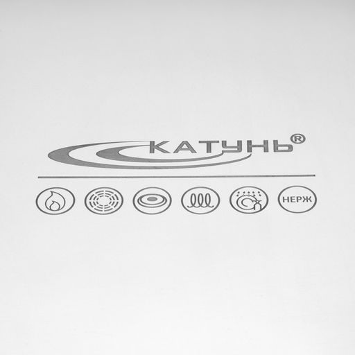 Котел Катунь «Общепит», 35 л, с крышкой, нержавеющая сталь, хромированная