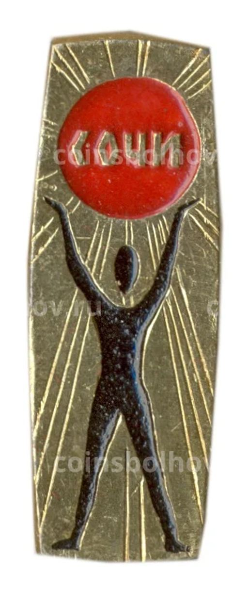 Значок Сочи