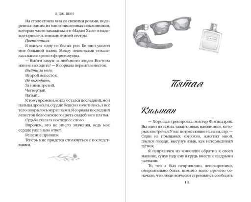 Красавицы Бостона. Злодей (#2)