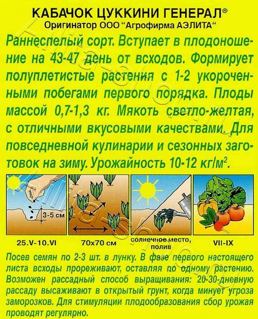 Кабачок Генерал (цуккини) 1г (Аэлита)