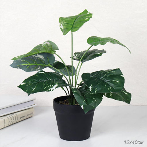 Цветочная композиция Сциндапсус 40 см / ZH-009 /уп 48/