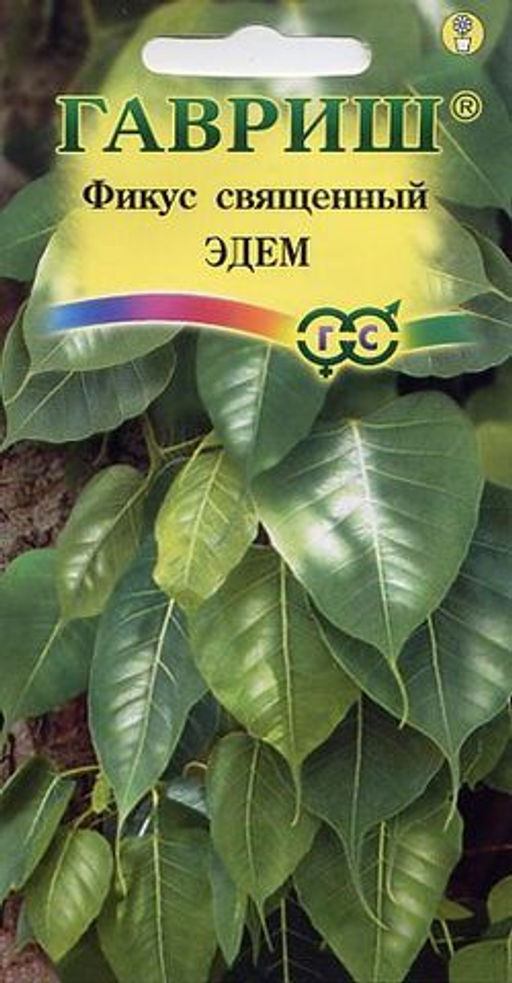 Фикус Эдем священный 0,03г (г)