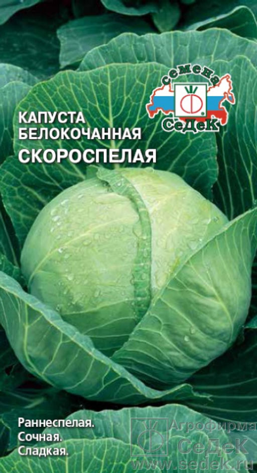 Капуста б/к Скороспелая 0,5г (СеДеК)