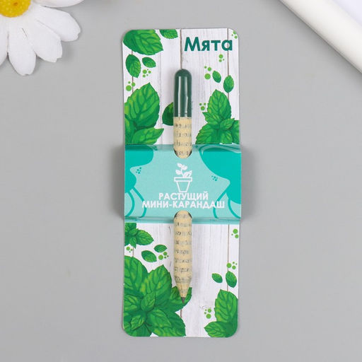 Цена за 2 шт. Растущий карандаш подарочный «Мята», mini, простой чернографитный