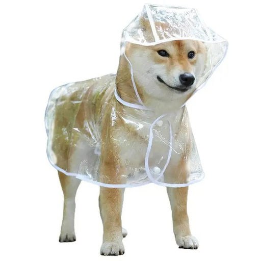 Дождевик для мелких пород собак "KOMFORT", прозрачный, р M