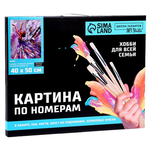 Картина по номерам на холсте с подрамником «Балет», 40×50 см