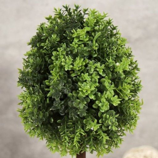 Цветочная композиция Зелень самшит 33 см / 9090-8 /уп 12/ - Галеонтрейд фото 5