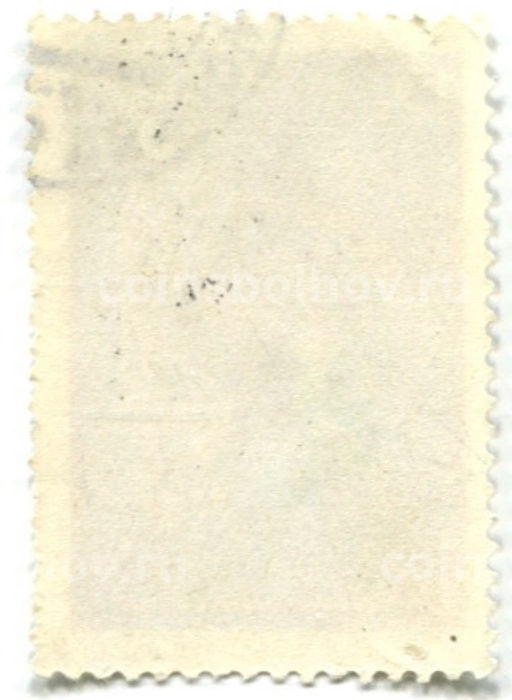 Марка Породы лошадей Ахалтекинская