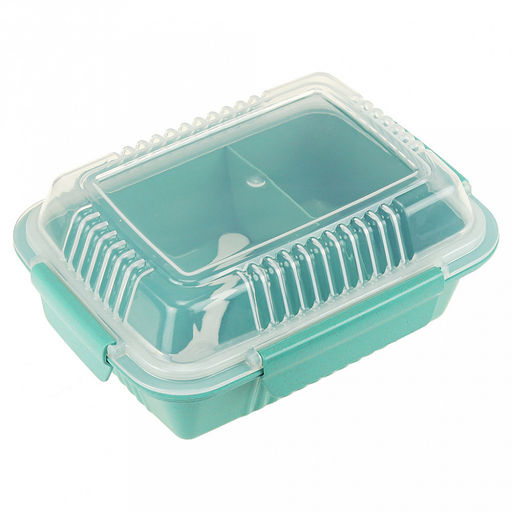 Ланч-бокс для продуктов пластмассовый Эко дом 20,5х15,5см h8,5см, 2 отделения 0,9л, с ложкой 13см, крышка прозрачная, с клипсами, с уплотнителем, цвета в ассортименте: бежевый, розовый, голубой (Китай) Пластик с добавлением пшеничных волокон. - Домашняя мода фото 2