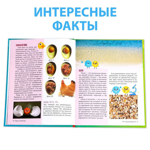Энциклопедия в твёрдом переплёте Что откуда берётся?, 64 стр. - Буква-ленд фото 4
