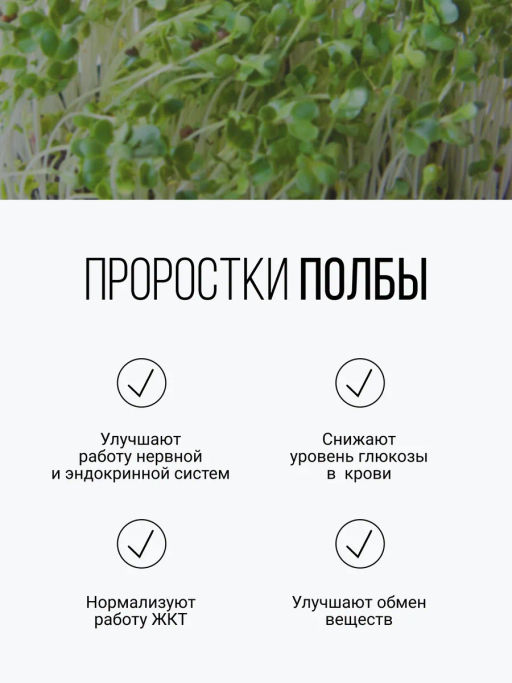 Смесь из семи видов проростков 200г (пшеница, полба, спельта, рожь, овес, чечевица, зеленая гречка)