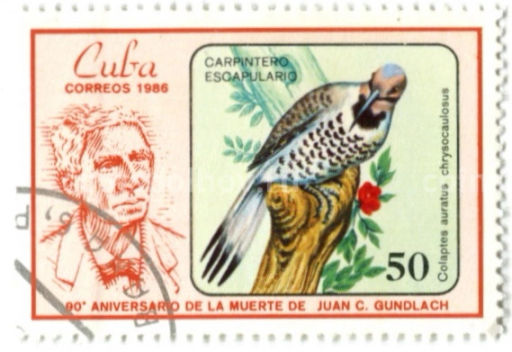 Марка Золотой шилоклювый дятел 1986 год Куба