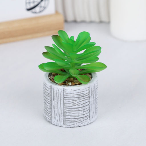 Цветочная композиция Кактус / WER-22 /уп 12/192/ микс - Галеонтрейд фото 12