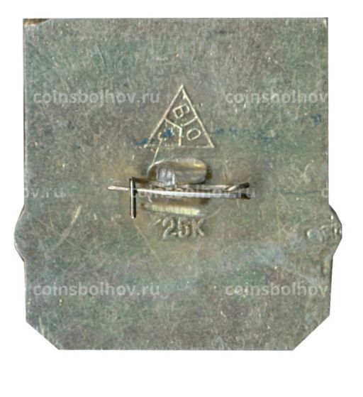 Значок Владимир